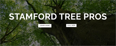 Stamford Tree Pros