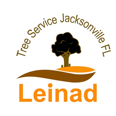 Leinad Tree Service