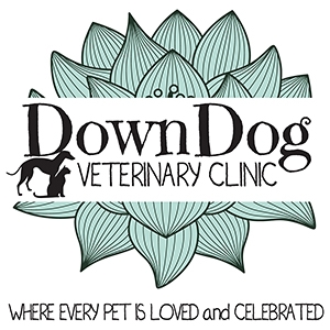 DownDog Veterinary Clinic