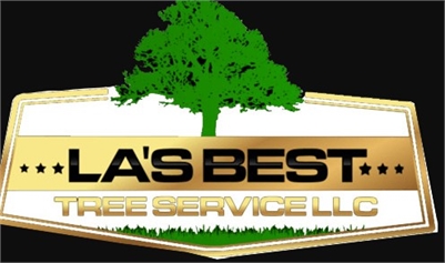 LA's Best Tree Service