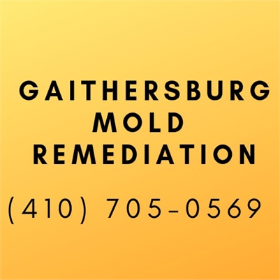 Gaithersburg Mold Remediation