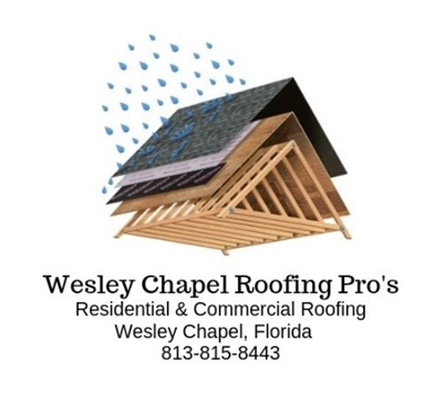 Wesley Chapel Roofing Pro's