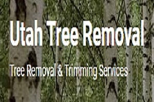 Utah Tree Removal
