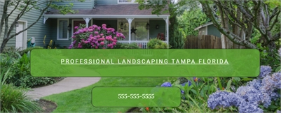 Professional Landscaping Tampa Florida