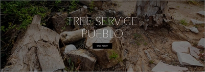 Tree Service Pueblo