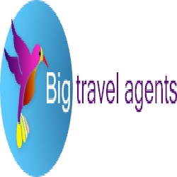 Big travel agents