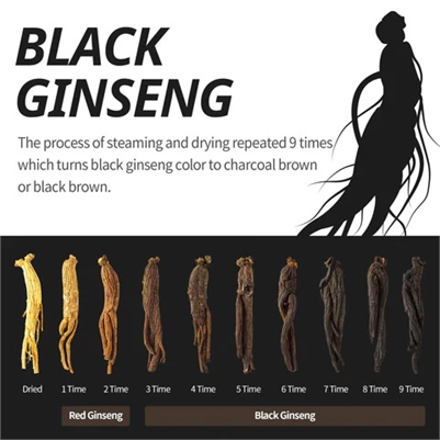 Buy Premium Black Ginseng