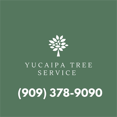 Yucaipa Tree Service