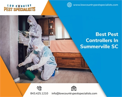 Low Country Pest Specialists - Best Pest Exterminators in Charleston SC