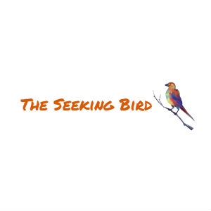 The Seeking Bird