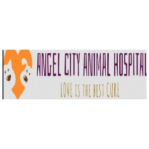 Angel City Animal Hospital