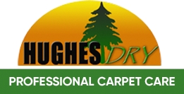 Hughes Dry Professional Carpet Care