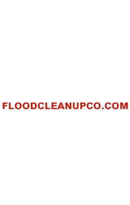 Flood Cleanup NYC