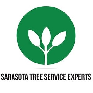  Sarasota Tree Service Experts