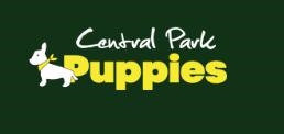 Central Park Puppies