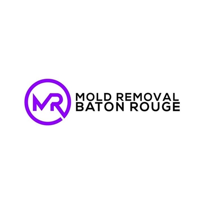 Mold Remediation Baton Rouge