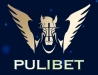 pulibety enilink
