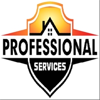  Professional  Services