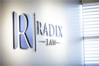 Radix Professional  Services, LLC