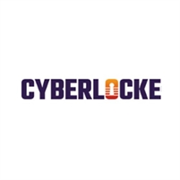  cyber locke
